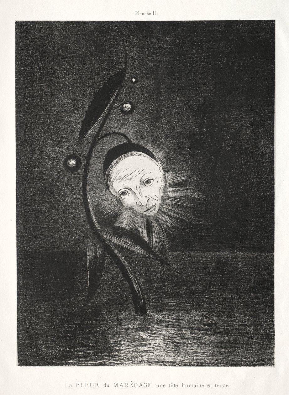 Pocta Goyovi: Bažinatá květina, smutná lidská hlava, 1885. od Odilon Redon