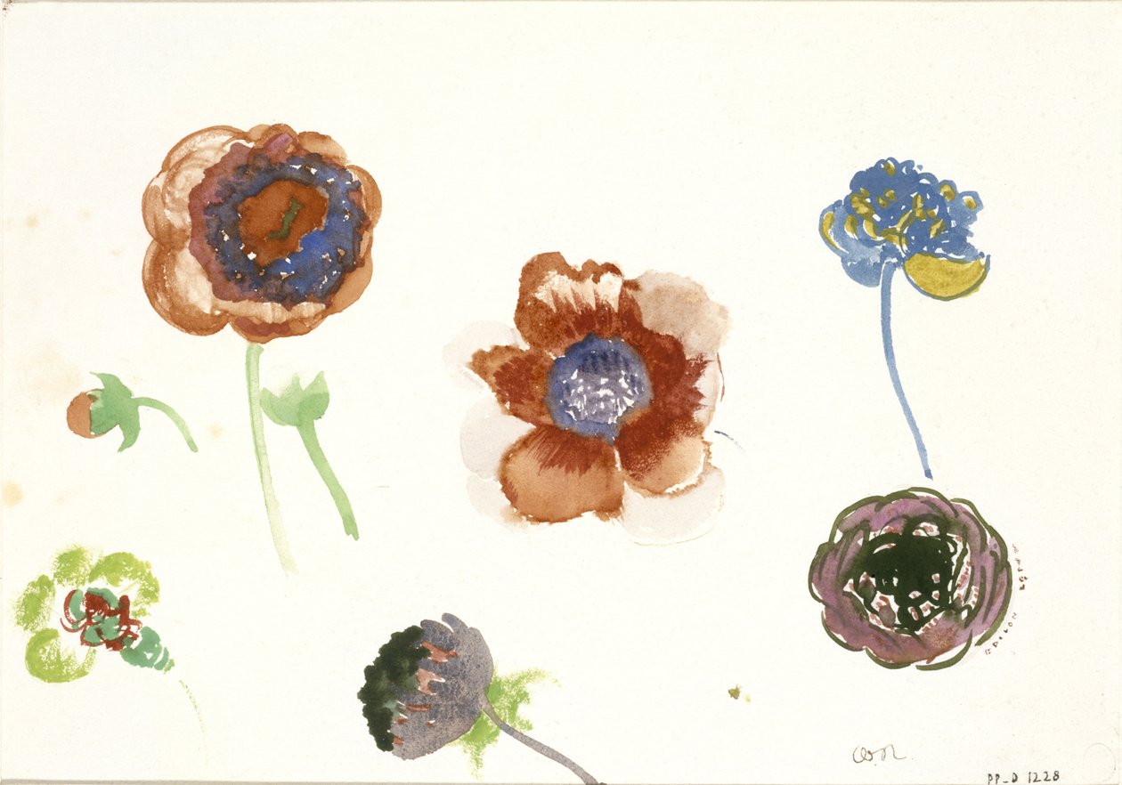 Osm studií květin od Odilon Redon