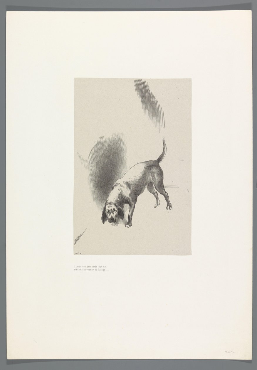 Zíral na mě s takovým zvláštním výrazem High House, 6 litho