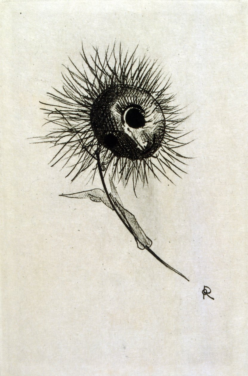 Ilustrace pro „Les Fleurs du mal“ od Baudelaira. 1891 (rytina) od Odilon Redon