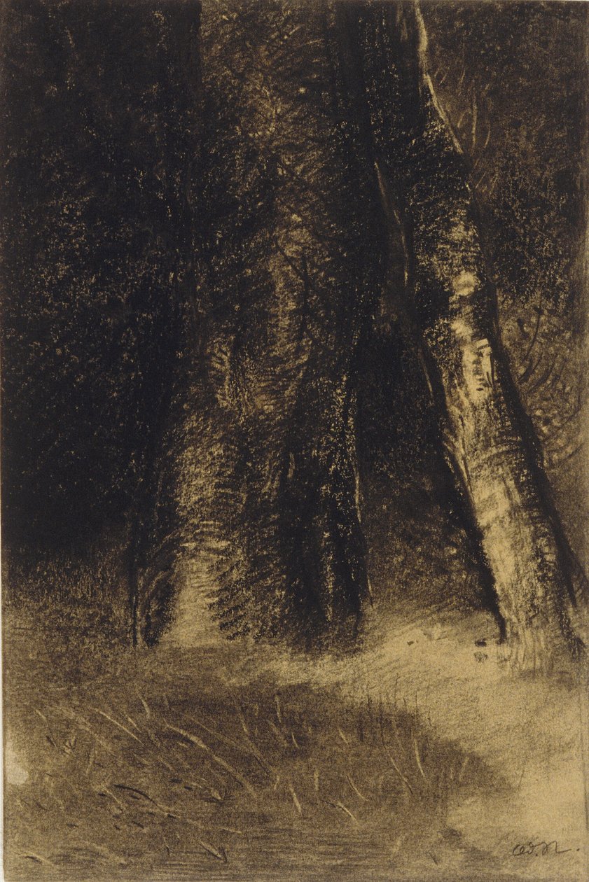 Náčrt stromů od Odilon Redon