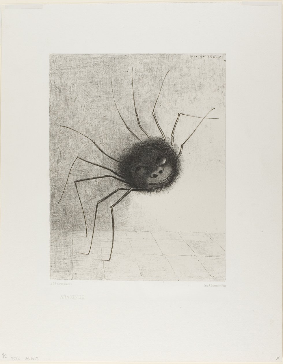 Pavouk od Odilon Redon