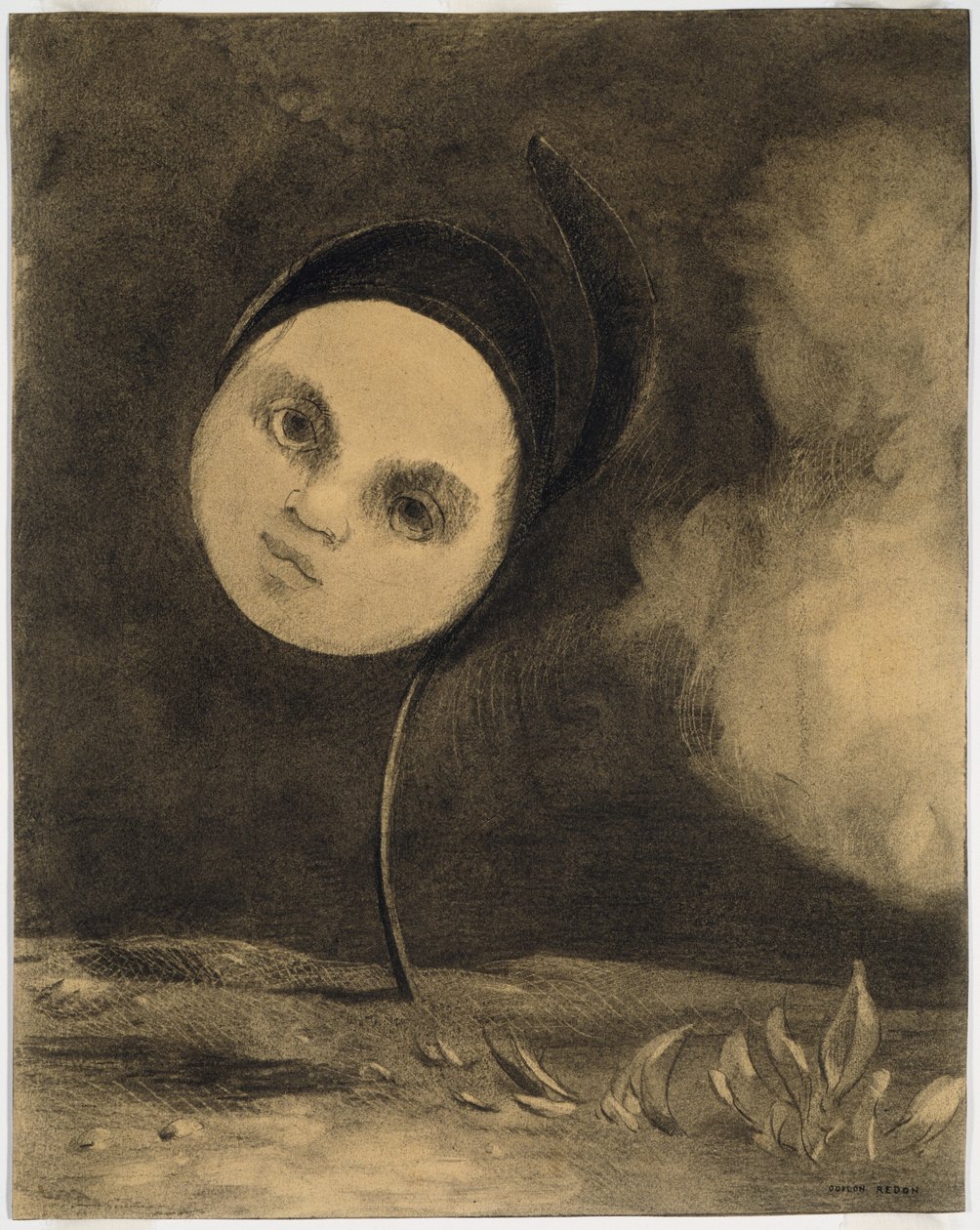 Podivný květ (Malá sestra chudých) od Odilon Redon