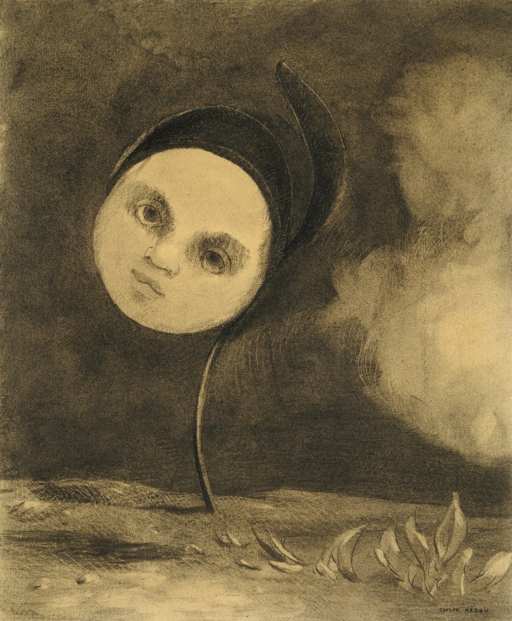 Podivná květina od Odilon Redon