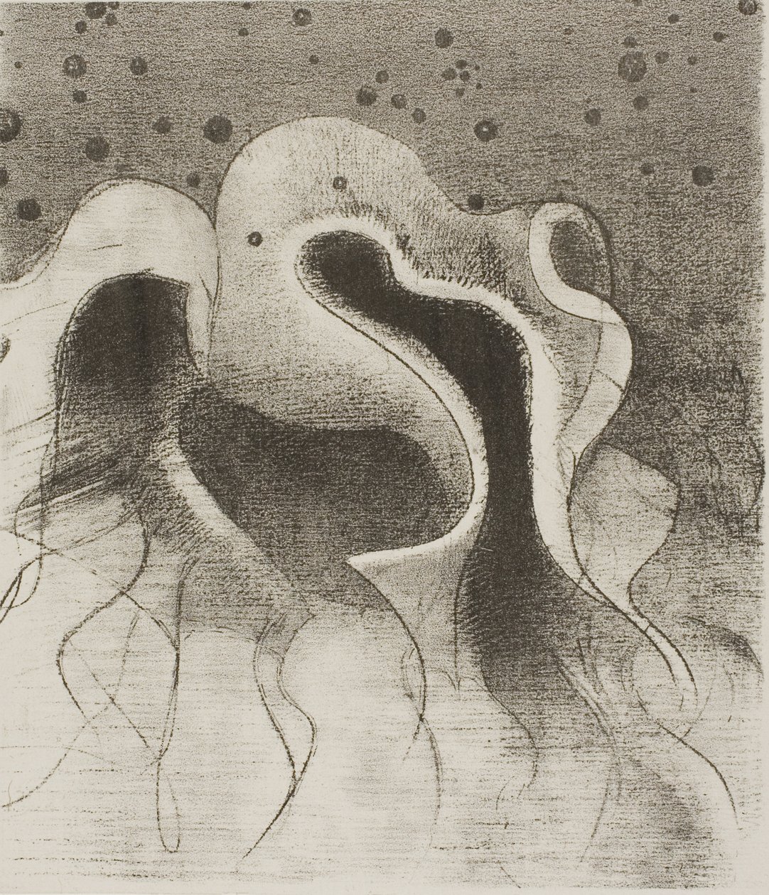 The Beasts of the Sea, Round Like Leather Bottles, deska 22 z 24 od Odilon Redon