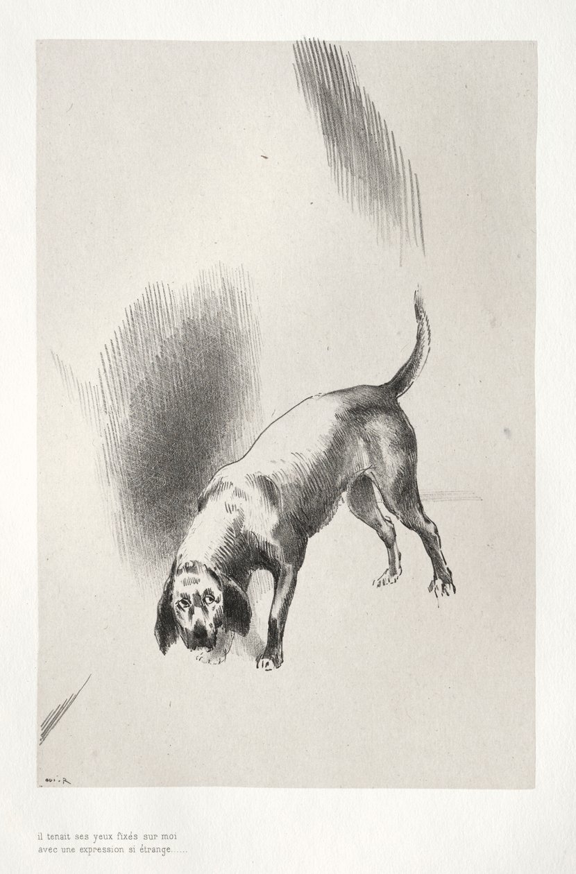 Strašidelný dům: Upíral na mě oči s tak podivným pohledem, 1896. od Odilon Redon