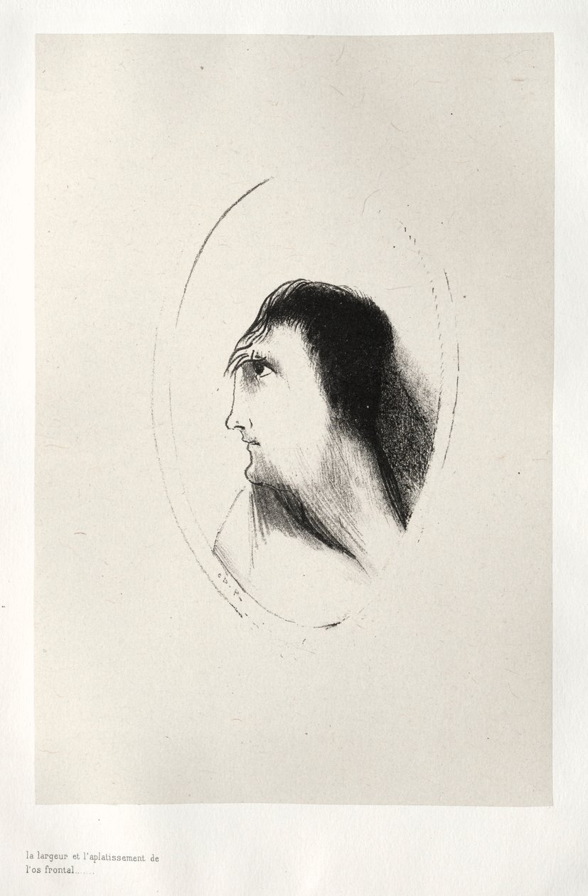 The Haunted House: The Width and Flatness of [the] Frontal [Bone], 1896. od Odilon Redon
