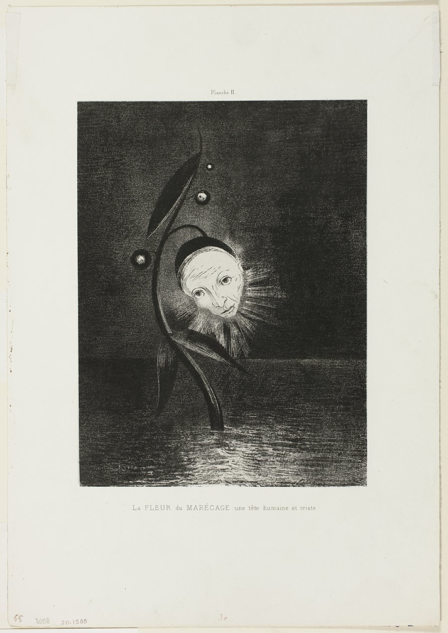 The Marsh Flower, a Sad Human Head, deska 2 ze 6 od Odilon Redon