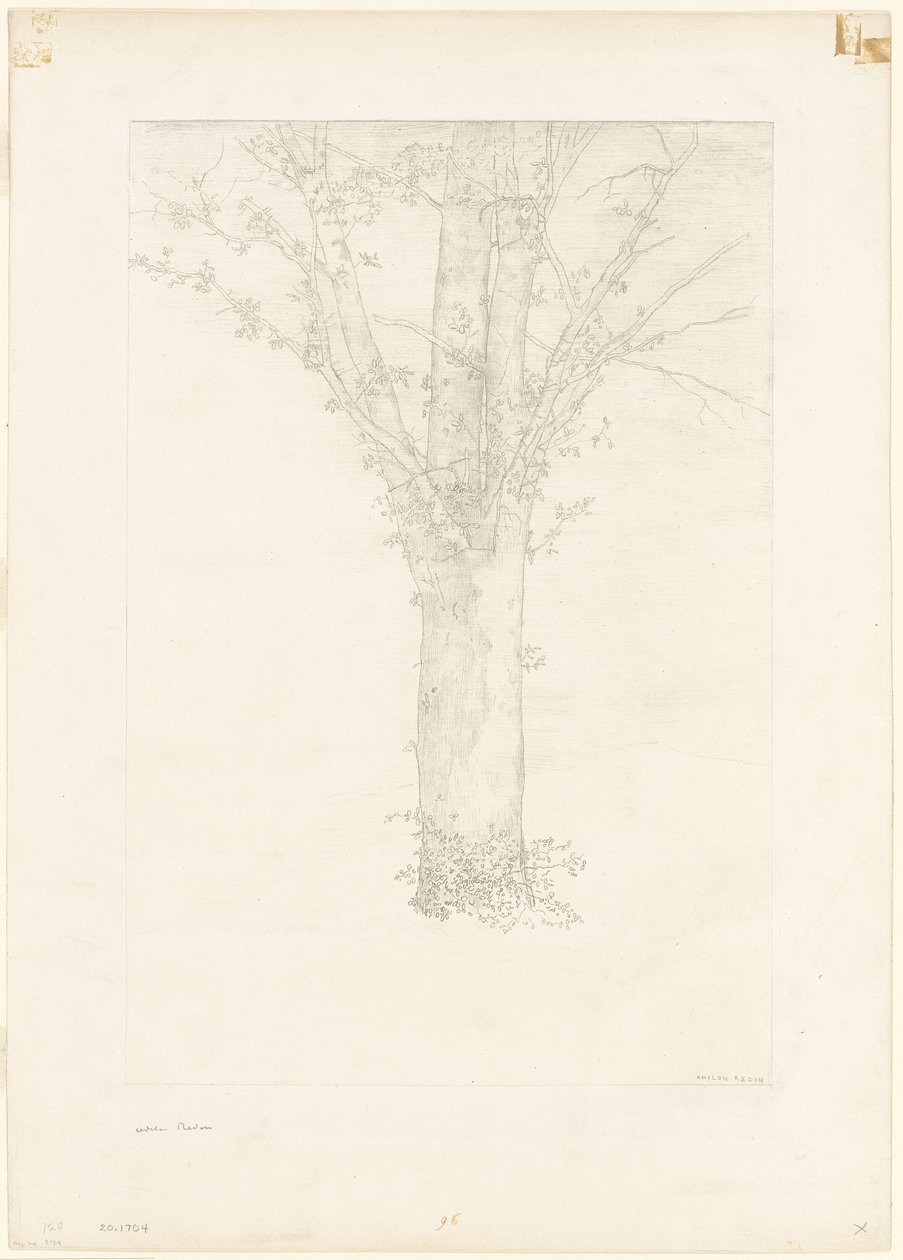 Strom od Odilon Redon
