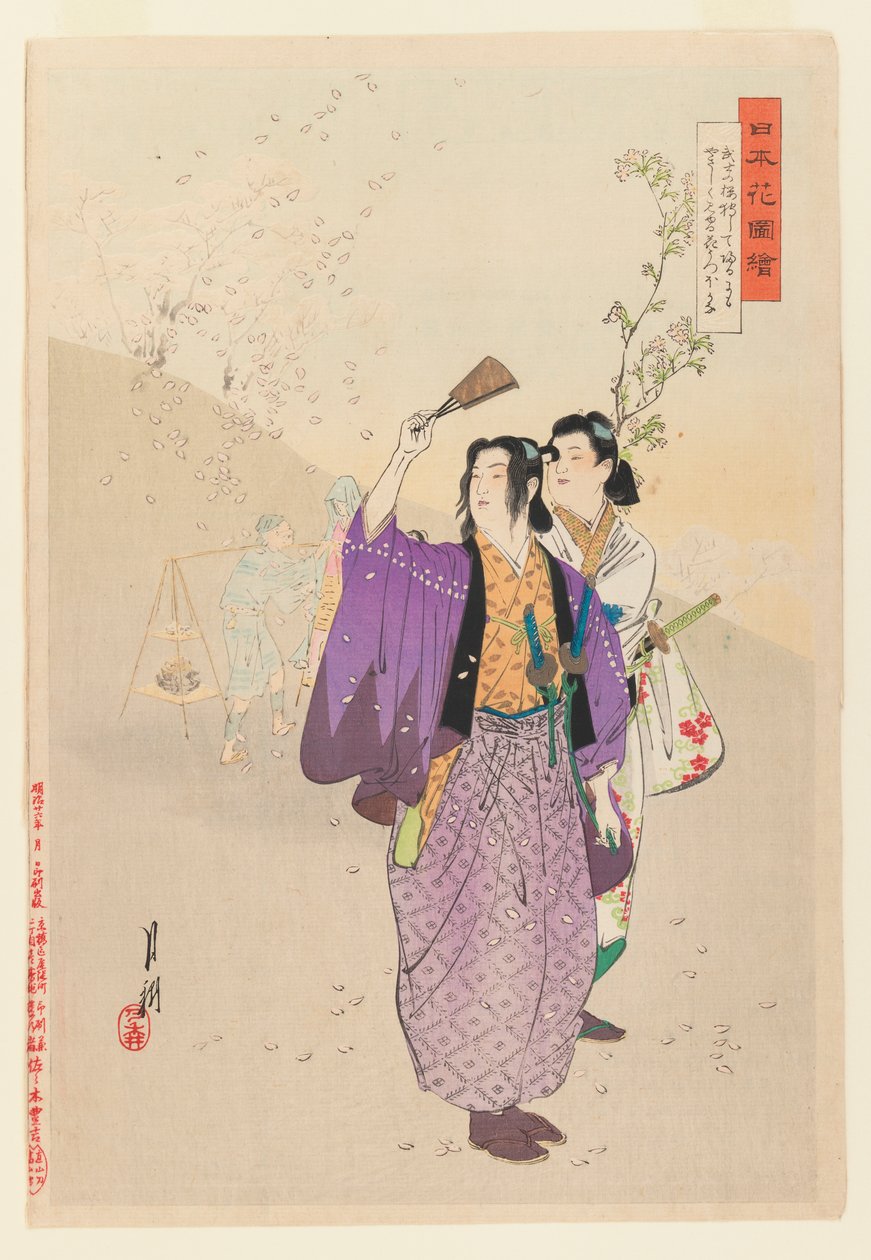 Dandies Admire Falling Cherry Blossoms ze série Pictures of Flower Gardens, 1893 (barevný tisk ze dřeva) od Ogata Gekko