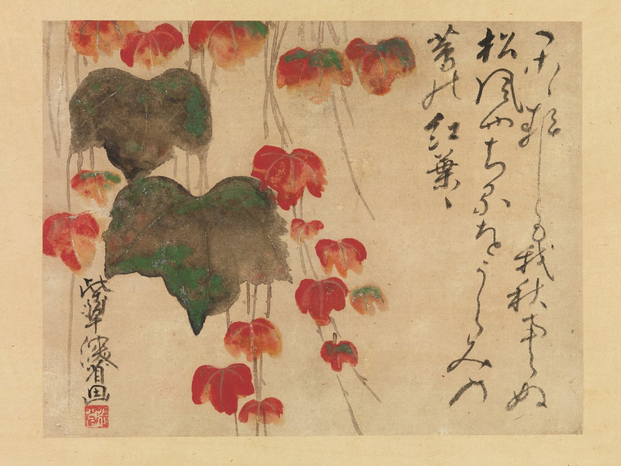 Podzimní břečťan (inkoust, barva a zlato na papíře) po roce 1732 od Ogata Kenzan