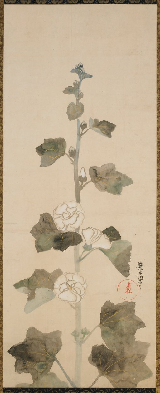 Hollyhocks bílé, období Edo, konec 17.-začátek 18. století. od Ogata Korin