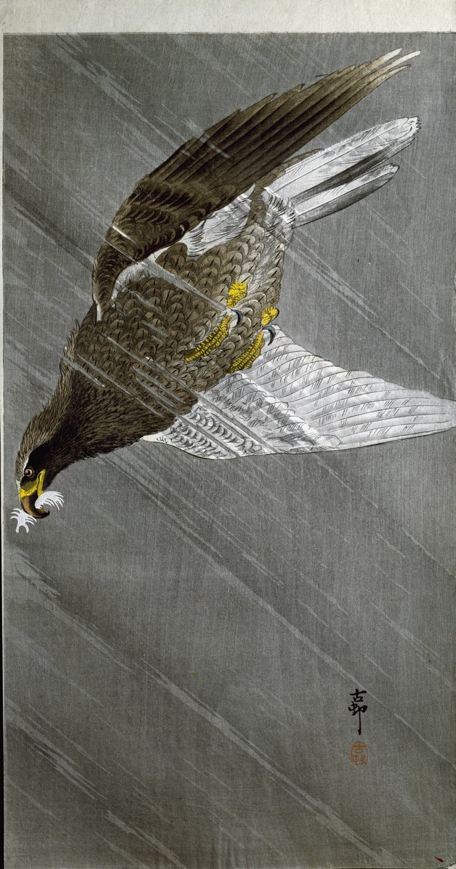 Orel potápějící se za svou kořistí, 1910 od Ohara Koson