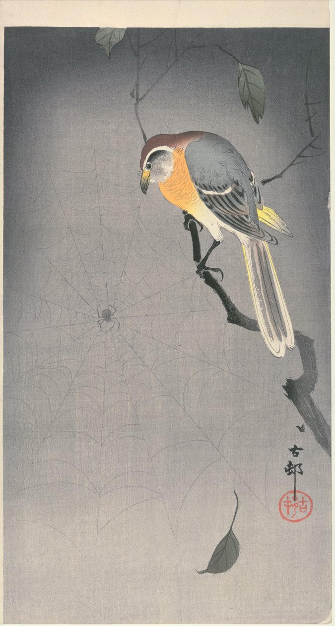 Pták na větvi sleduje pavouka, c. začátek roku 1900 (barevný dřevořez) od Ohara Koson