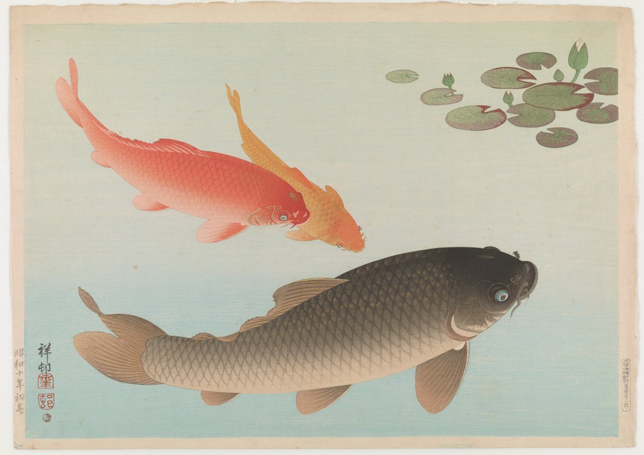 Kapr, 1935 (barevný dřevoryt) od Ohara Koson