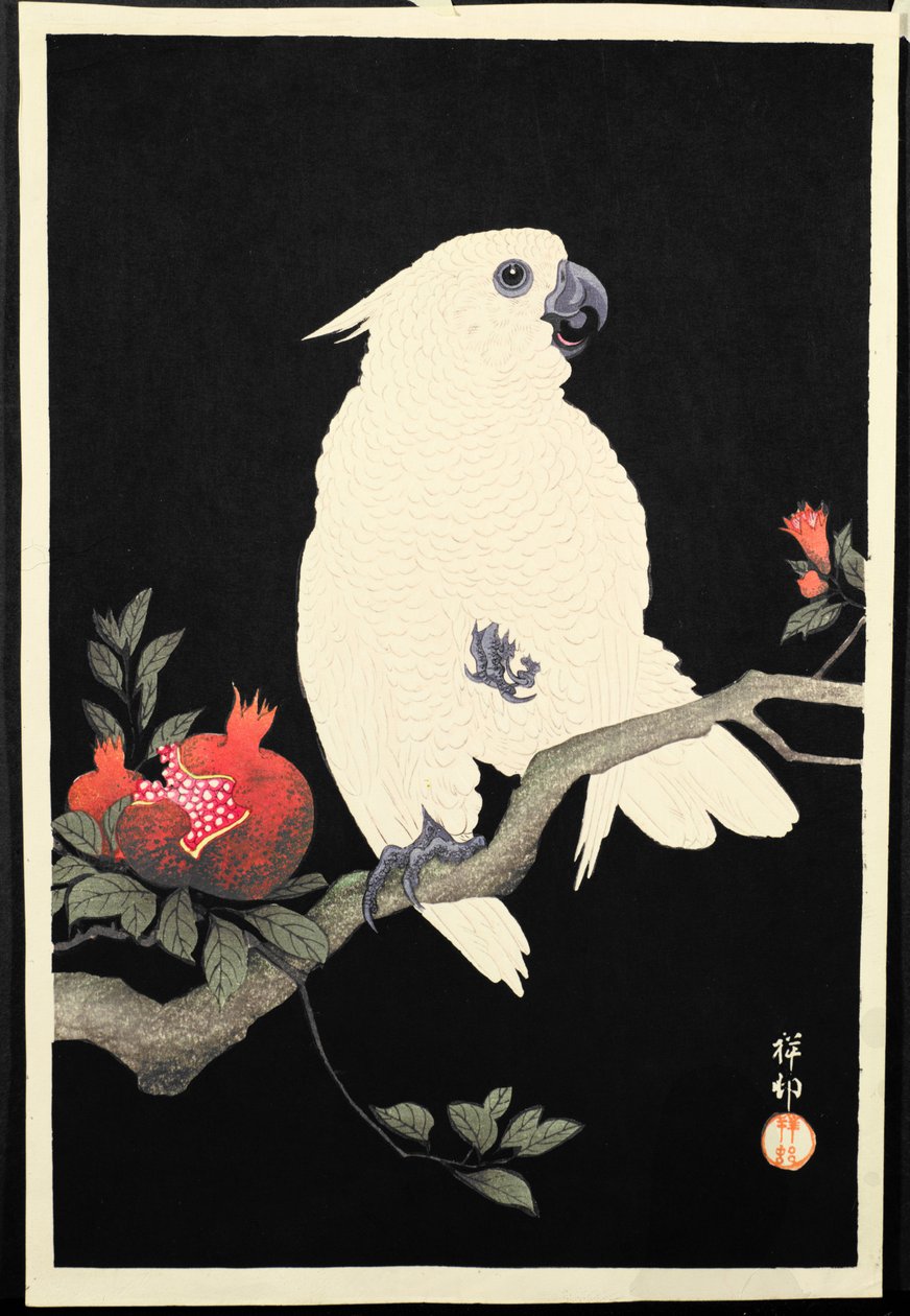 Kakadu a granátové jablko, (barevný dřevoryt) od Ohara Koson