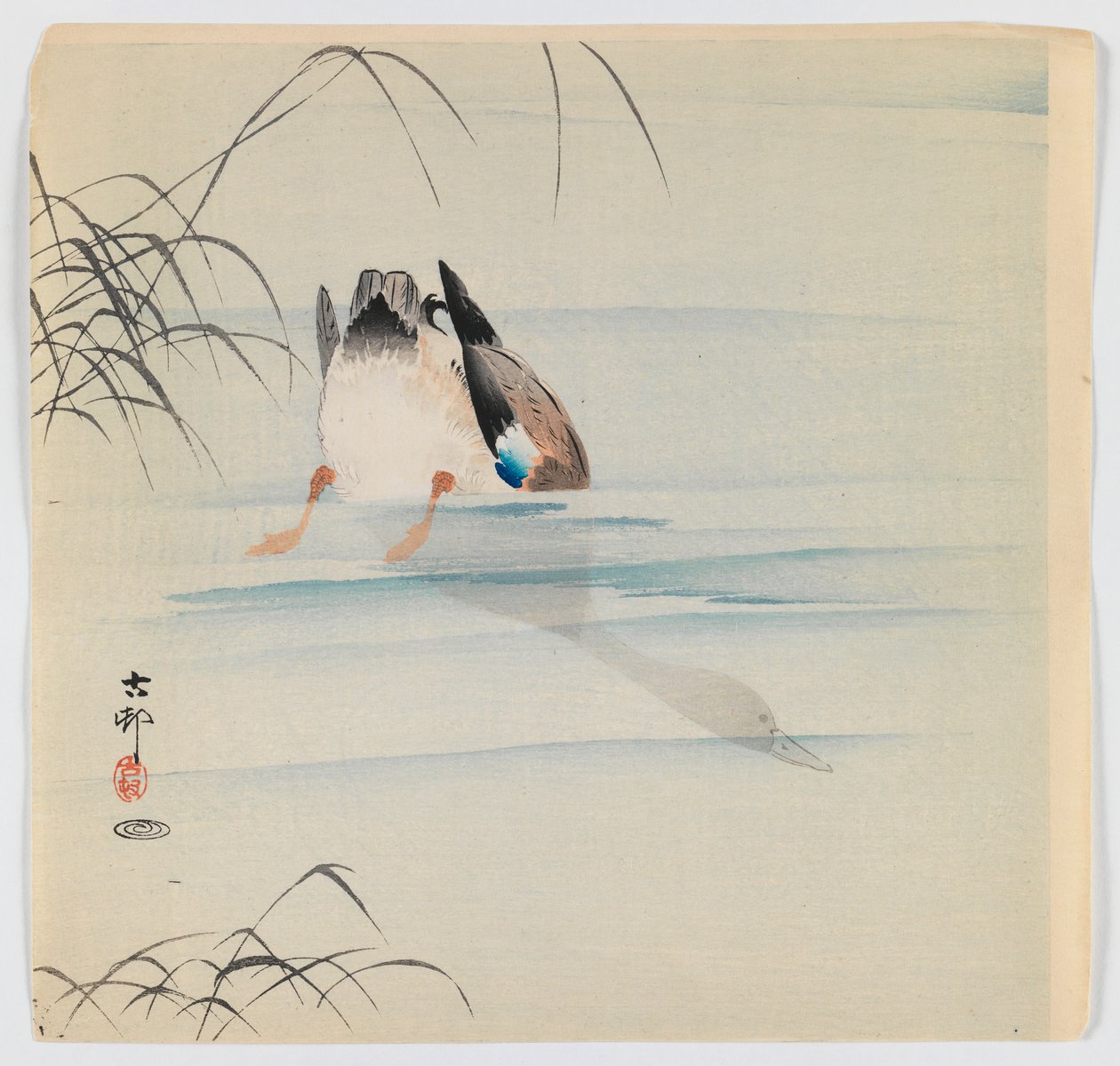 Diving Mallard, cca 1910 (barevný tisk dřevěných bloků) od Ohara Koson