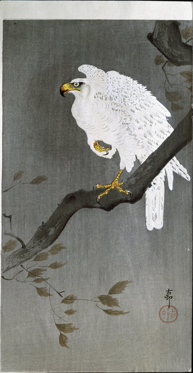 Sokol na větvi, 1907 od Ohara Koson
