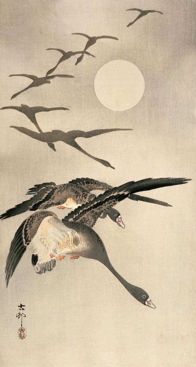 Letící husy a úplněk, asi počátek 20. století (barevný dřevoryt) od Ohara Koson