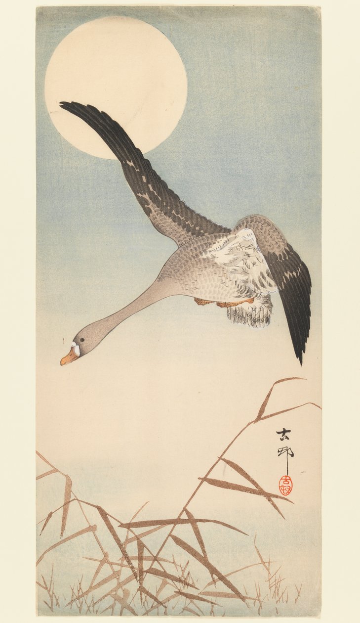 Husa letící v měsíčním světle, cca 1910 (dřevořez) od Ohara Koson