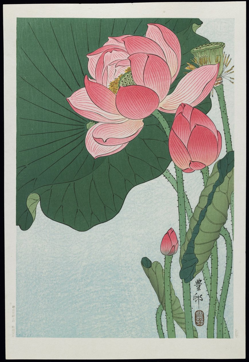 Lotus, 30. léta 20. století od Ohara Koson