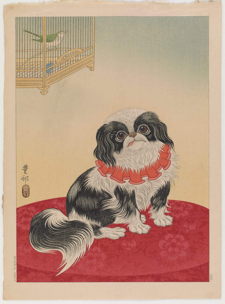 Pekingský pes, cca 1930 (barevný dřevotisk) od Ohara Koson