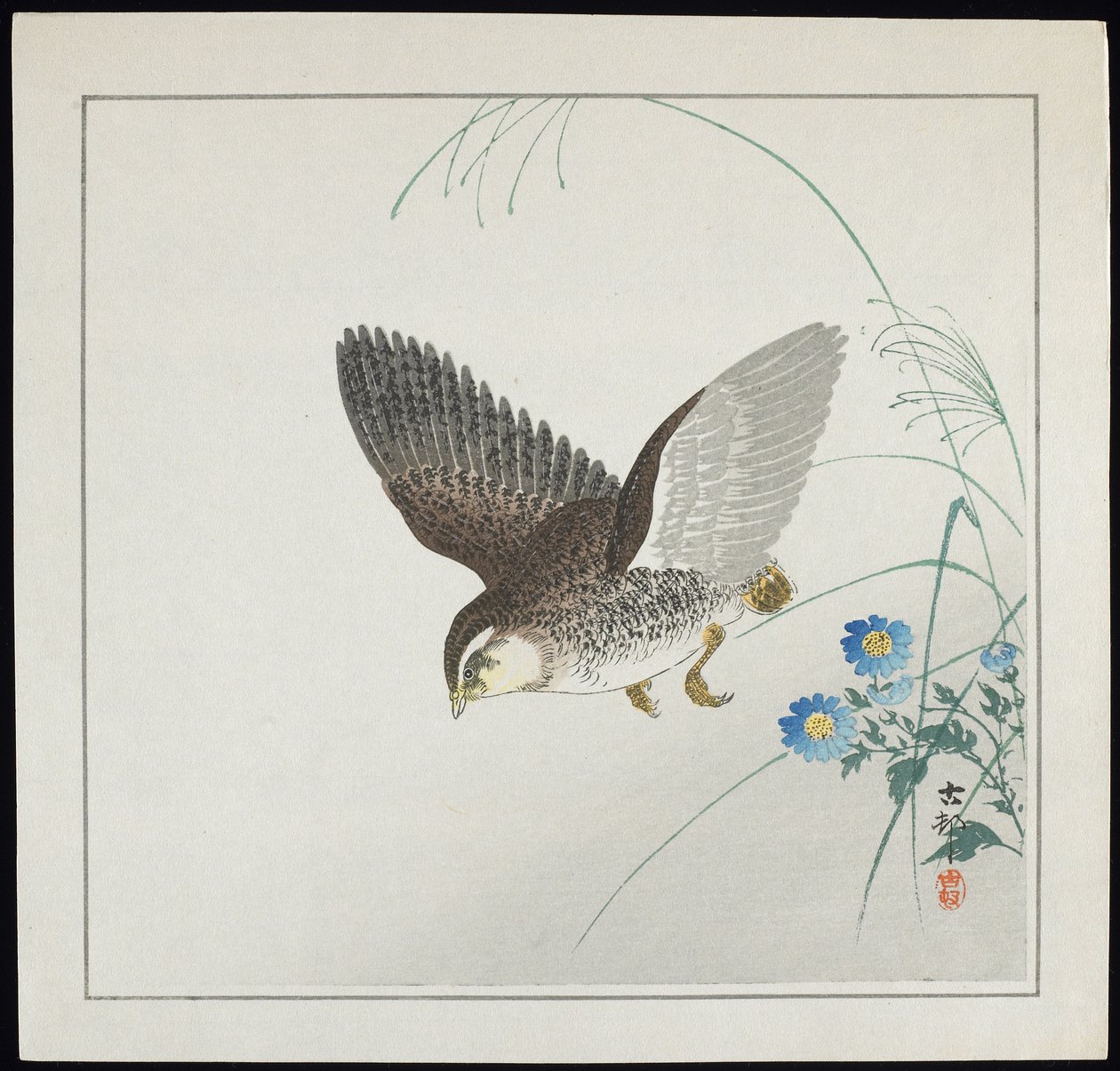 Křepelka v letu, před rokem 1912 od Ohara Koson