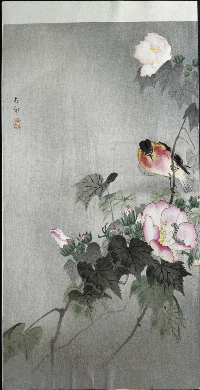 Stonechat and Blossoming Flower, 1907 od Ohara Koson