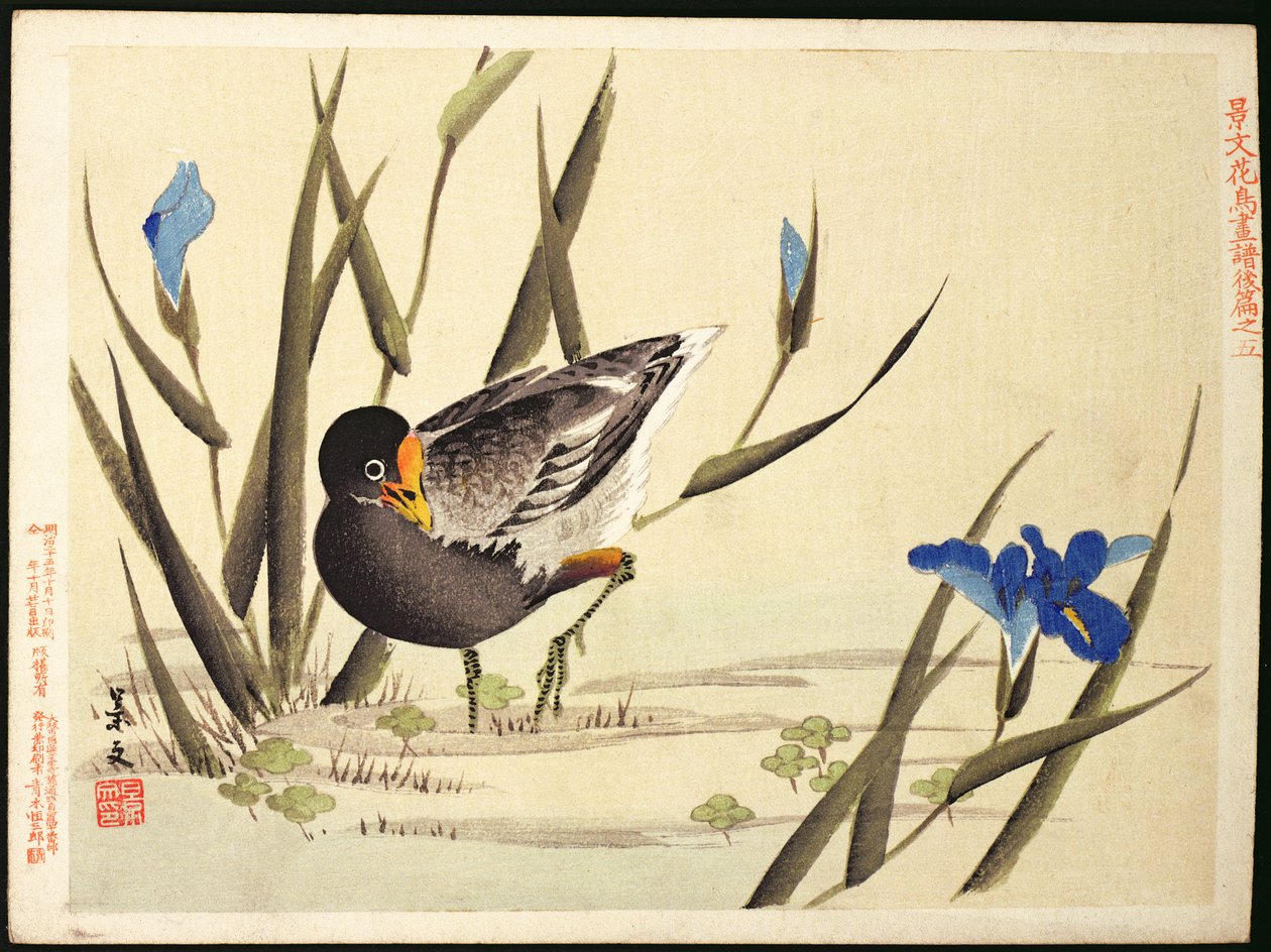 Wader between rushes, (barevný dřevotisk) od Ohara Koson