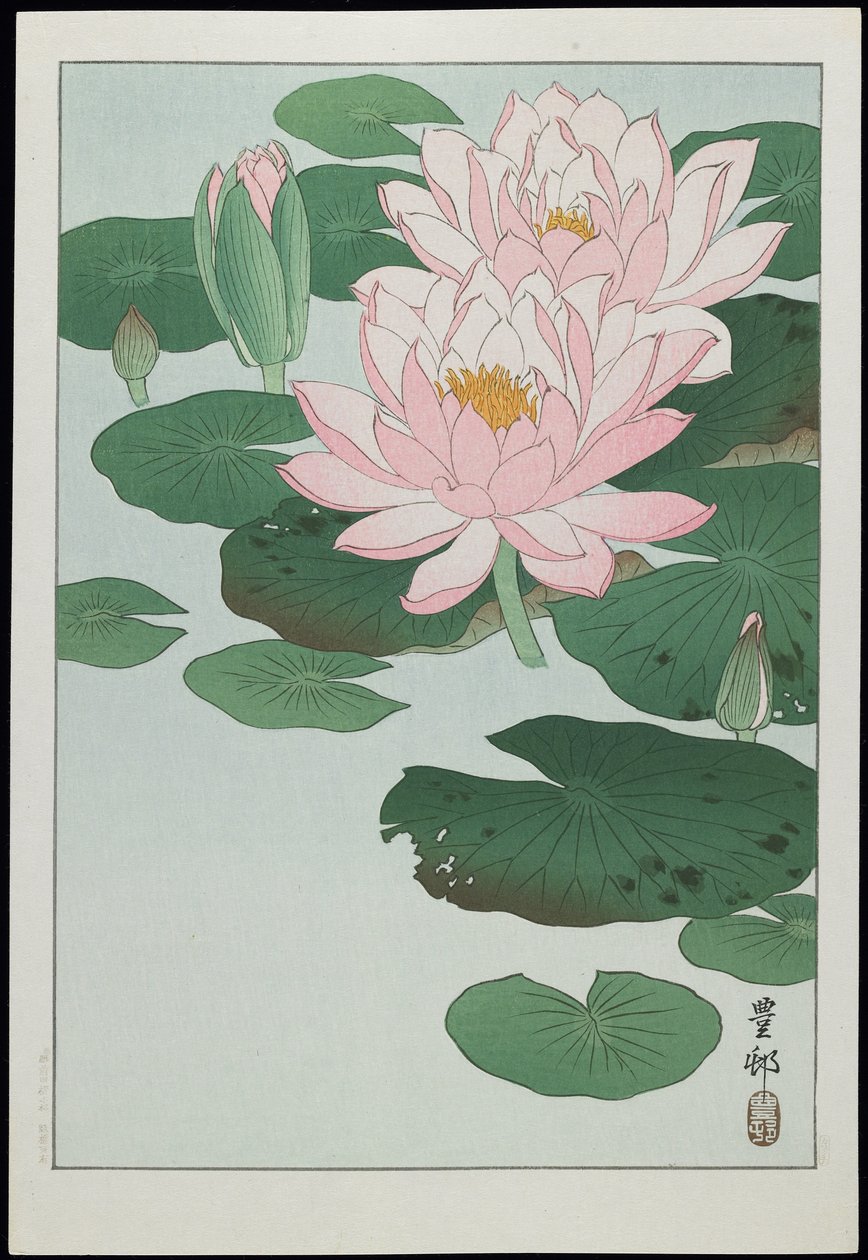 Leknín, 30. léta 20. století od Ohara Koson