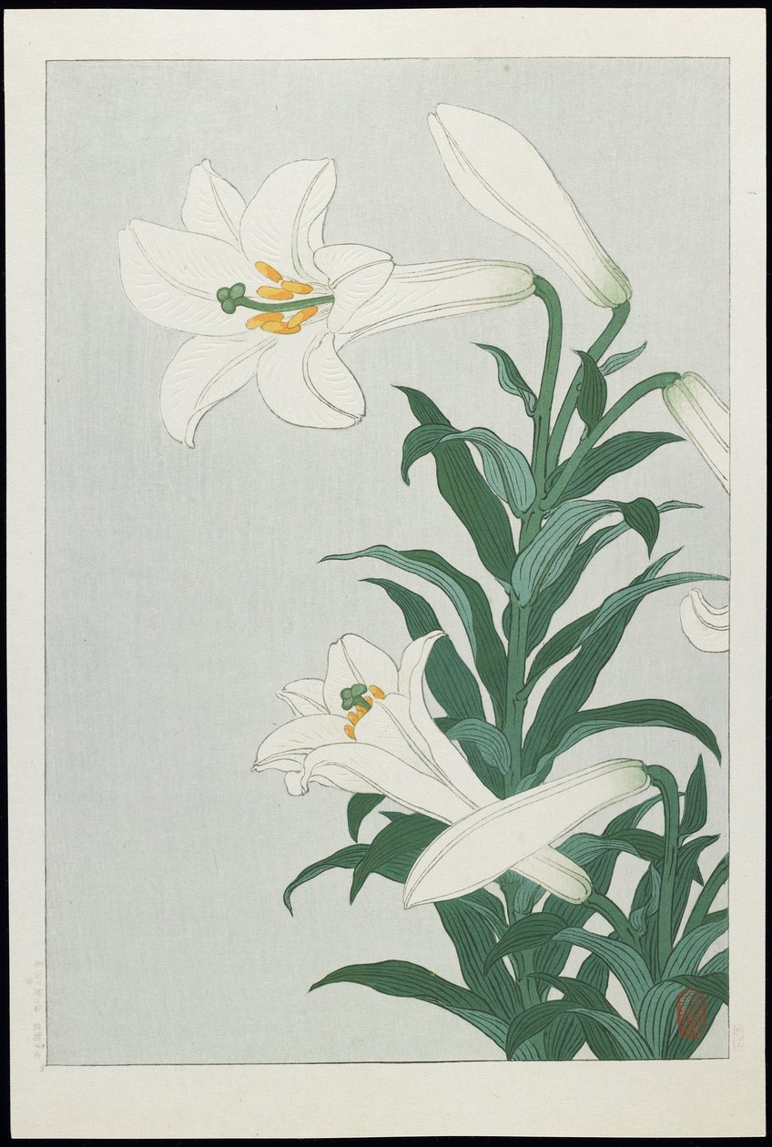 Bílá lilie, 30. léta 20. století (barevný dřevořez) od Ohara Koson