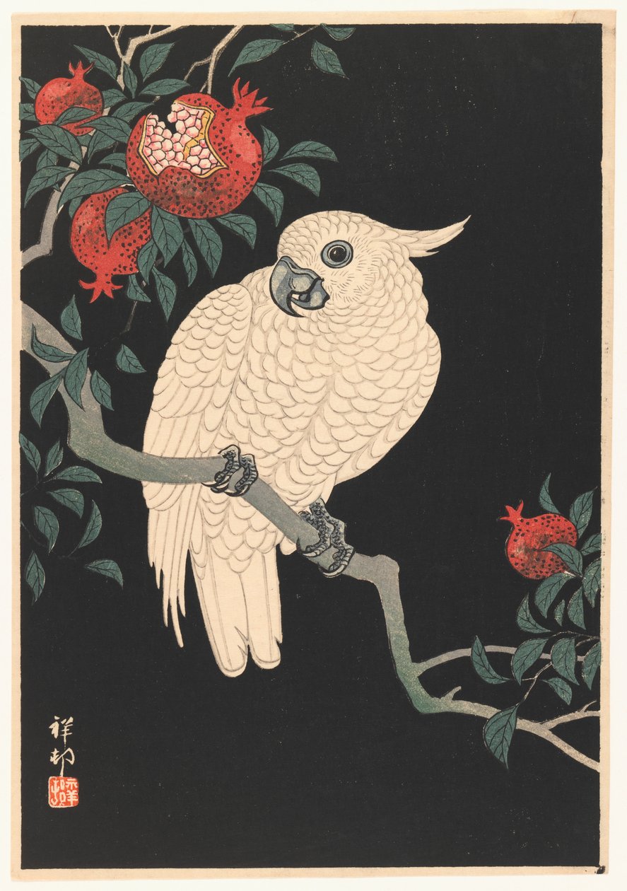 Bílý papoušek a granátové jablko, 1927-1989 (dřevotisk) od Ohara Koson