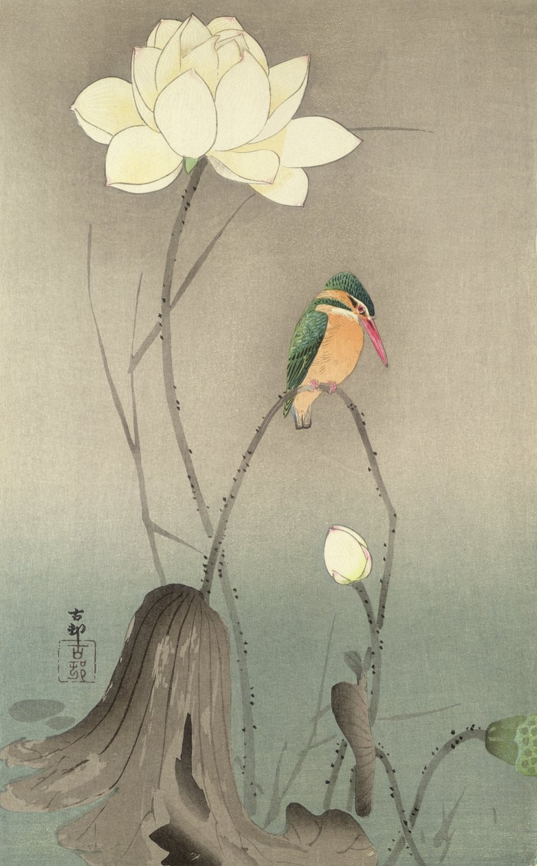 Ledňáček říční a lotos, kolem roku 1910, od Ohara Koson
