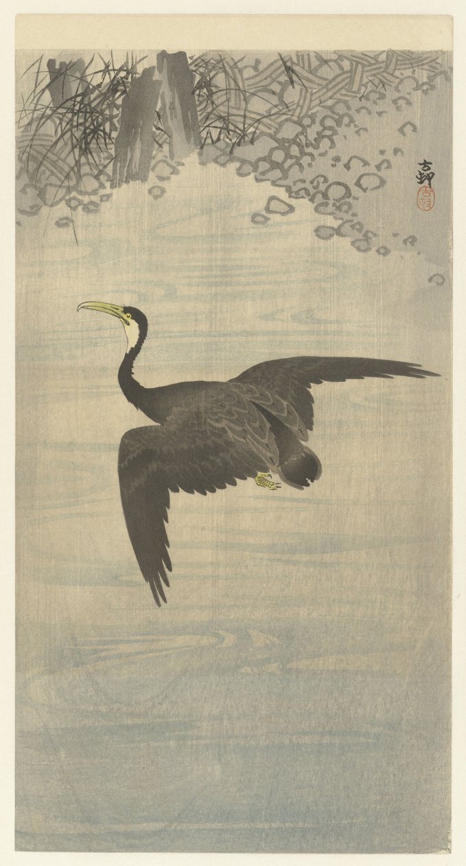 kormorán v letu od Ohara Koson