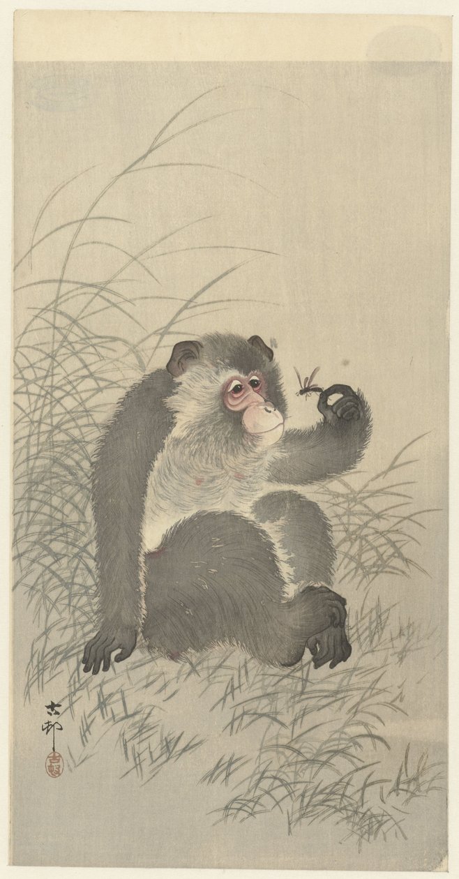 potkal jsi hmyz od Ohara Koson
