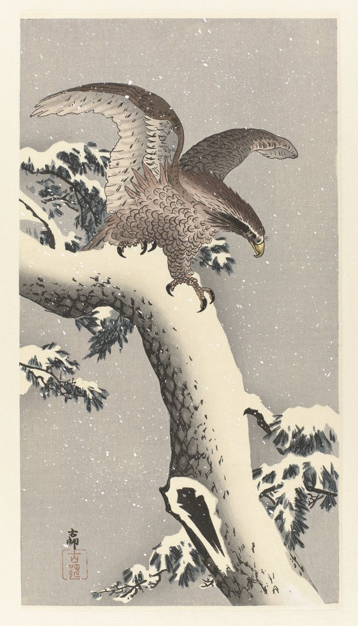 Orel na zasněžené borovici od Ohara Koson