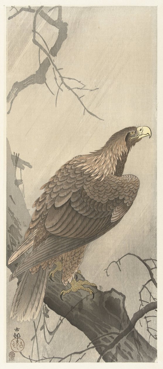 Orel na větvi stromu od Ohara Koson