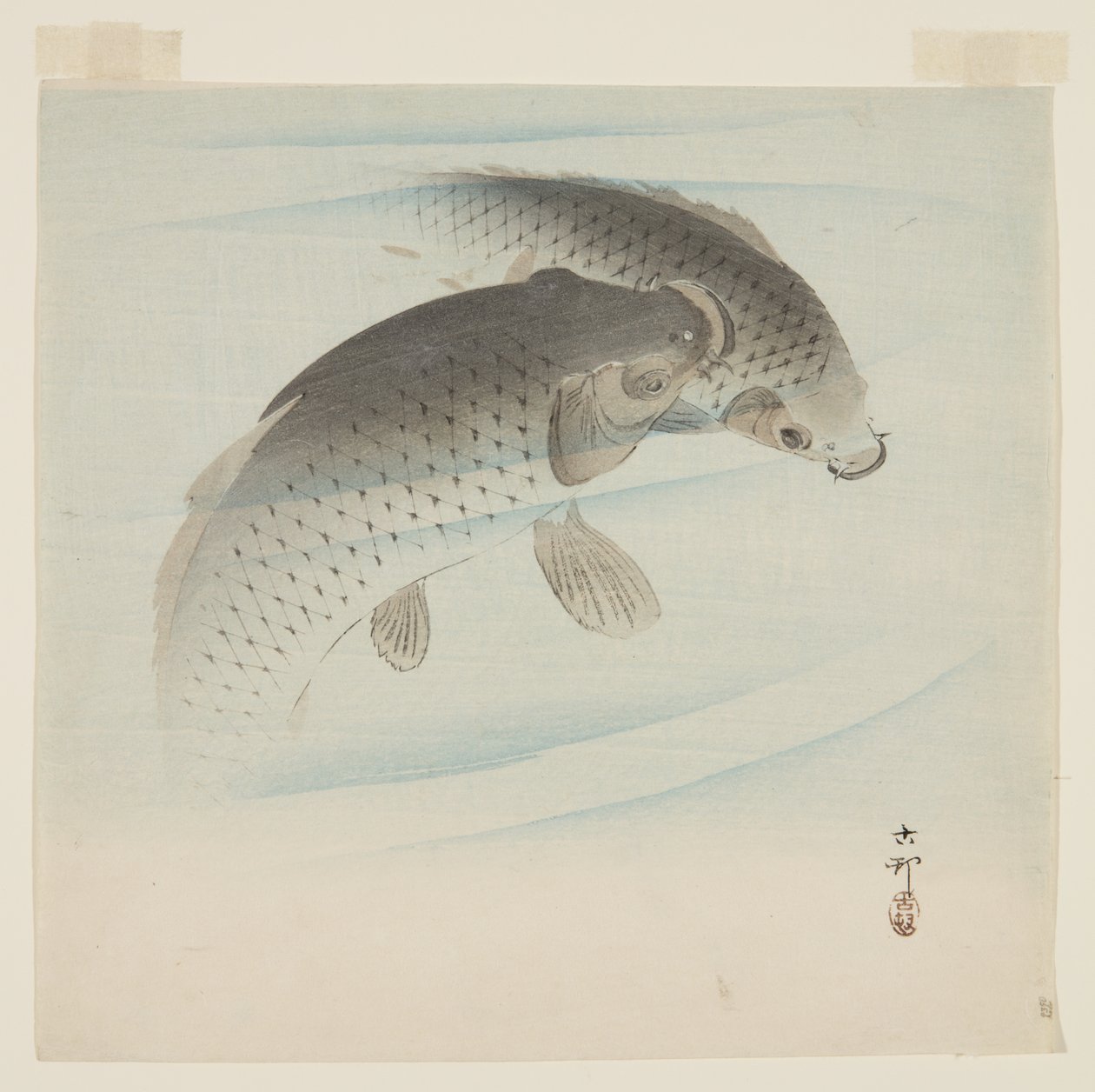 Kapr (Koi) (barevný dřevotisk) od Ohara Koson