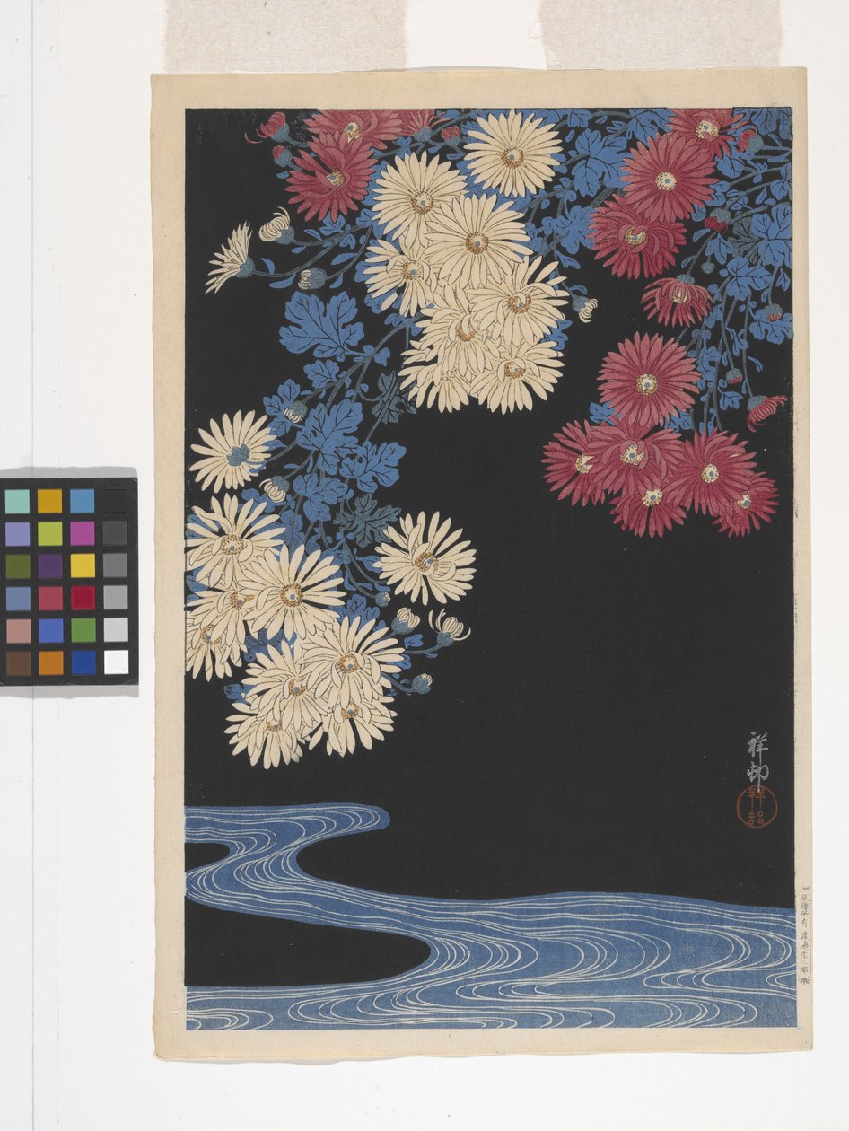 Chrysanthemums And Stream (barevný dřevotisk) od Ohara Koson