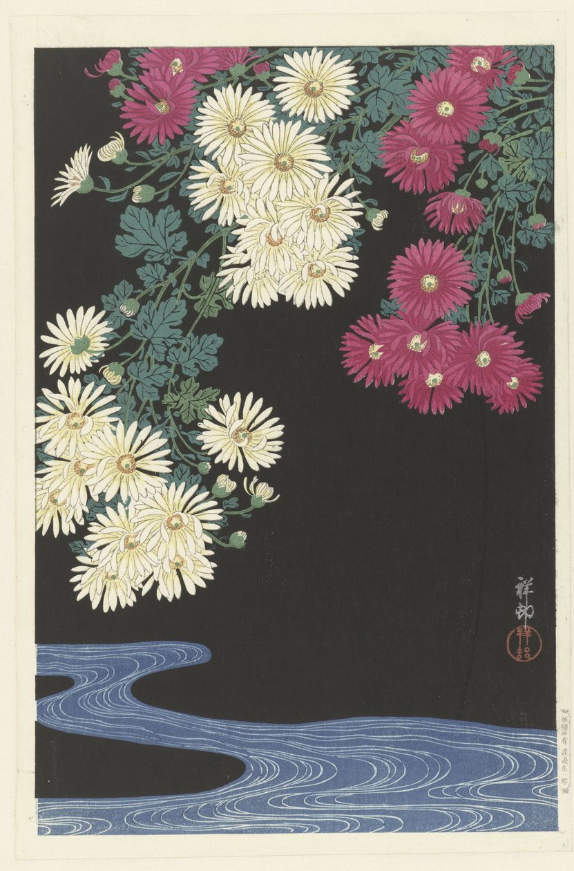 Chryzantémy a tekoucí voda od Ohara Koson