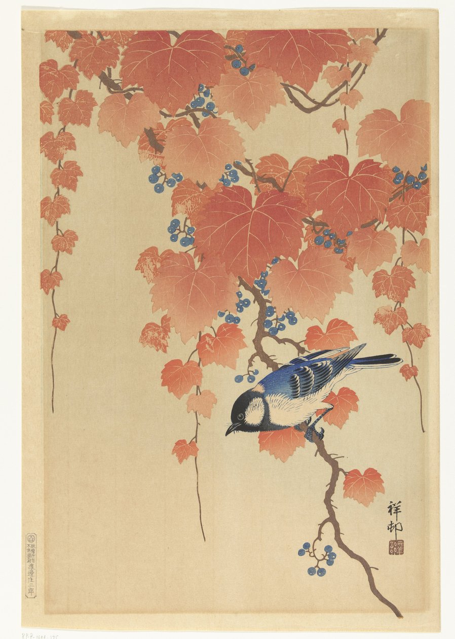 Coal Tit je pobočka Paulownia od Ohara Koson