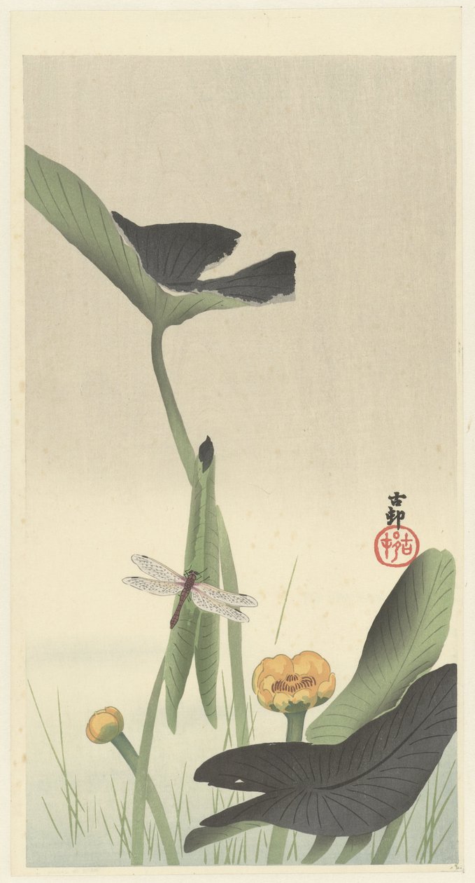 Vážka a lotosový květ, cca 1900-30 (barevný dřevoryt) od Ohara Koson