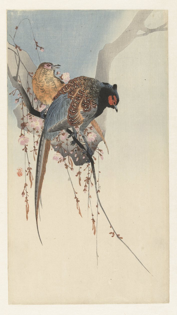 Bažantí pár a švestkový květ od Ohara Koson