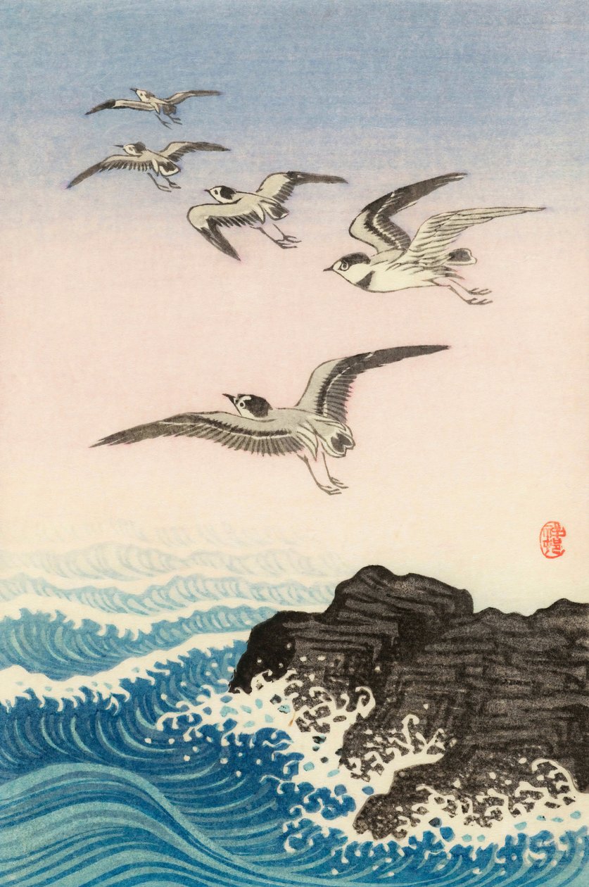 Pět racků nad skálou v moři, 20. století (japonský tisk) od Ohara Koson