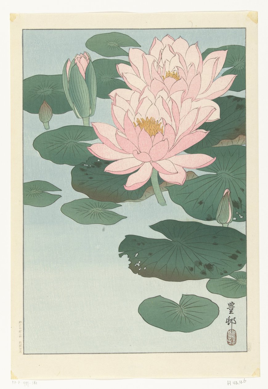 Kvetoucí leknín od Ohara Koson