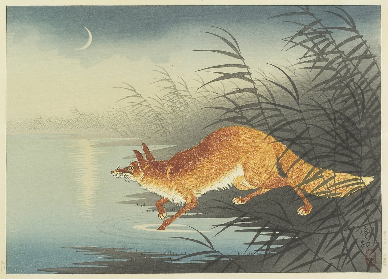 Fox by the Moonlit Water, 30. léta 20. století (barevný dřevořez) od Ohara Koson