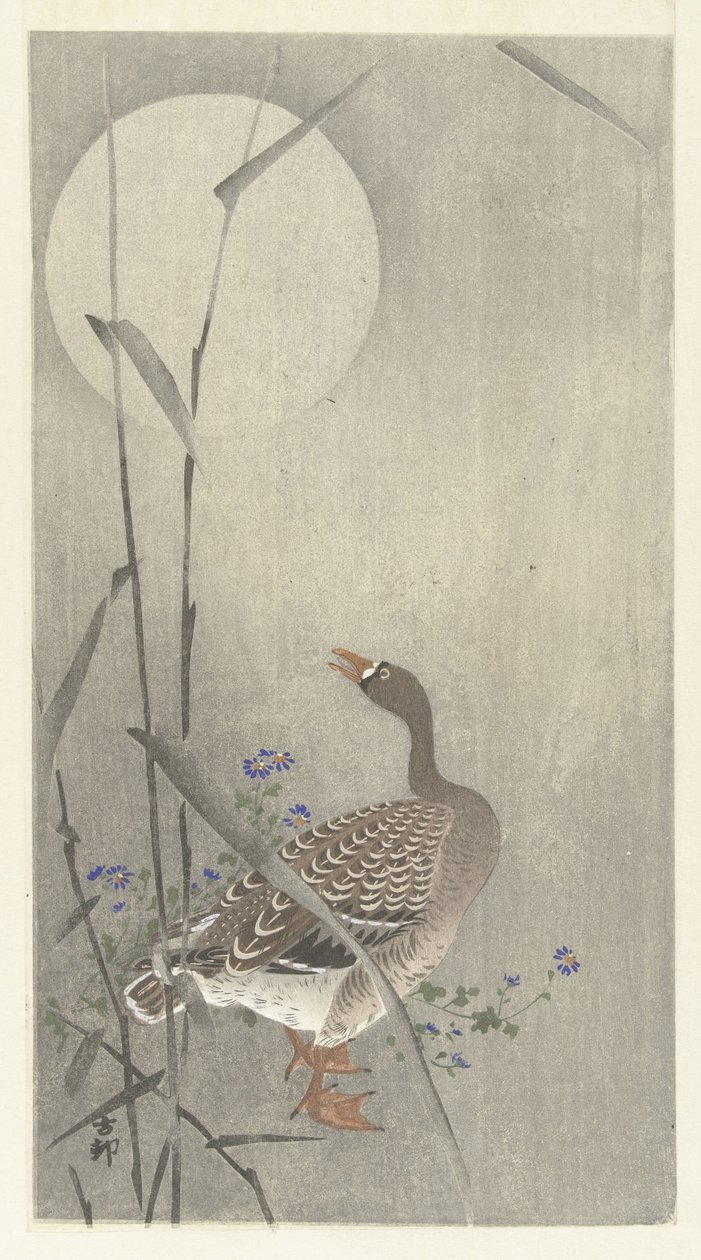 Husa za úplňku od Ohara Koson