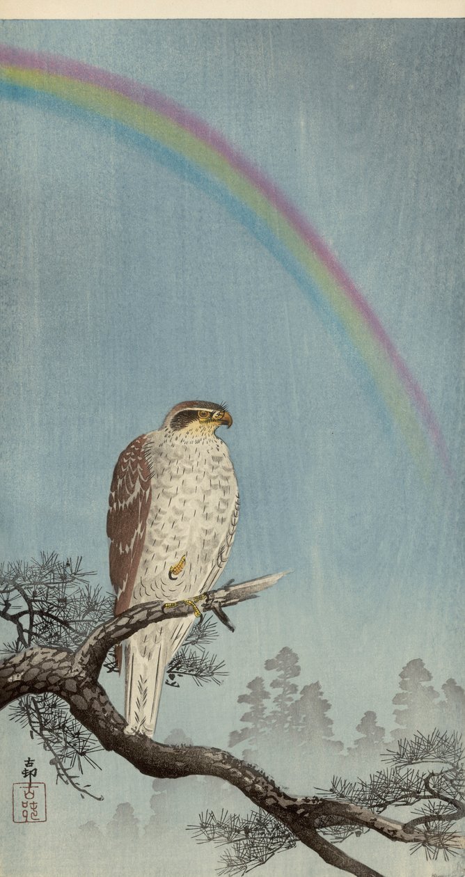 Jestřáb na borovici s duhou nahoře (barevný dřevotisk) od Ohara Koson