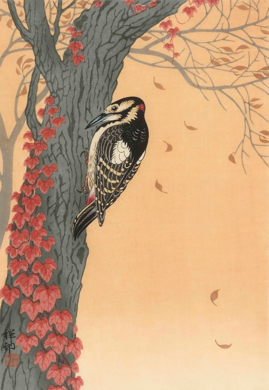 Strakapoud velký na stromě s červeným břečťanem, 20. století (japonský tisk) od Ohara Koson