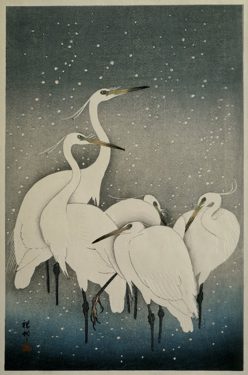 Skupina volavek od Ohara Koson